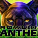 Prowling-Panther-Slot